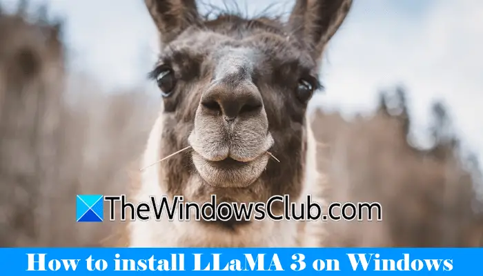 如何在 Windows 11 PC 上安装 LLaMA 3？