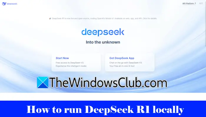 如何在Windows 11上本地運行DeepSeek