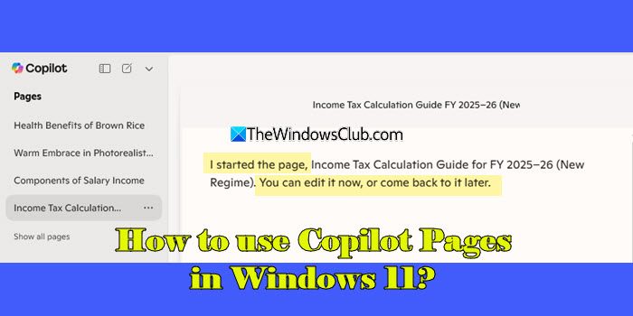 如何在Windows 11中使用Copilot页面？